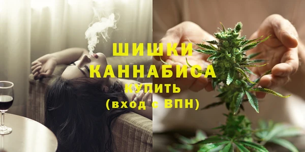 индика Богородск