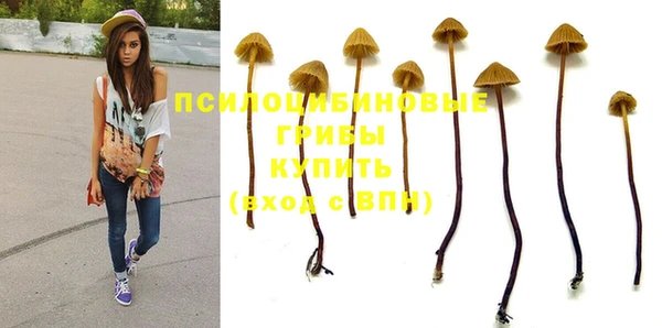 эйфоретик Белоозёрский