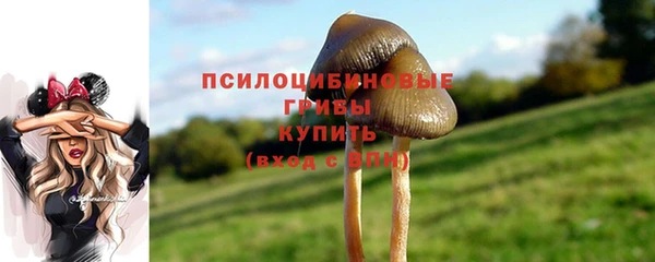 эйфоретик Белоозёрский