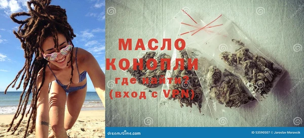 индика Богородск