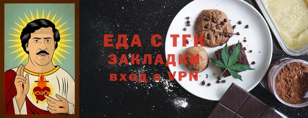 индика Богородск