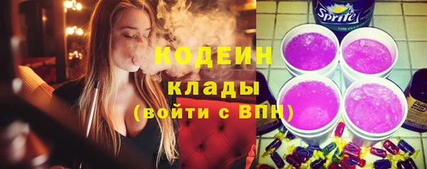 индика Богородск