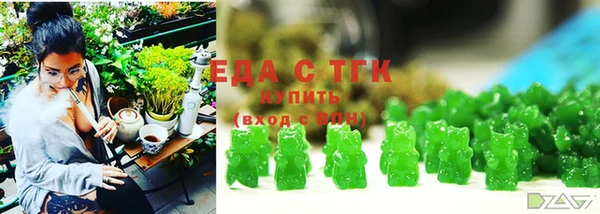 индика Богородск