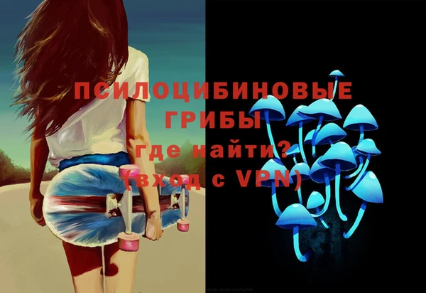 дурь Белокуриха