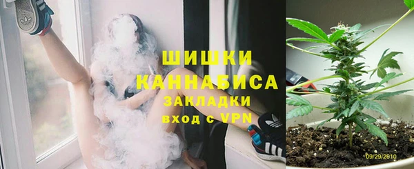 индика Богородск