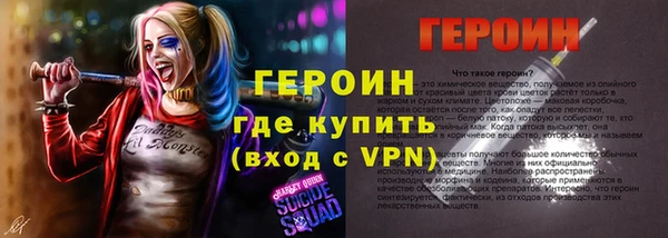 индика Богородск