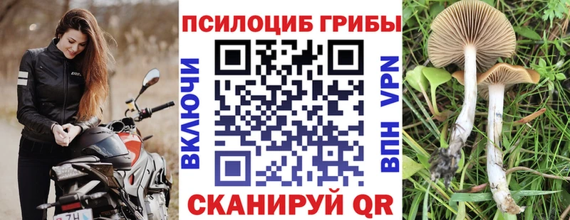 наркошоп  Кораблино  Псилоцибиновые грибы Magic Shrooms 