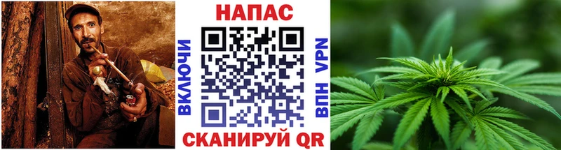 Шишки марихуана гибрид где купить наркотик Кораблино